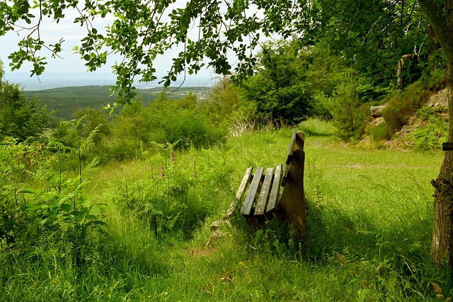 在高楼大厦 在高楼大厦
