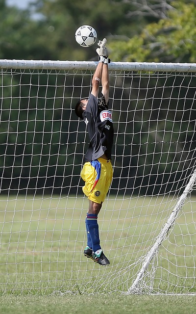 斯职业生涯 斯职业生涯