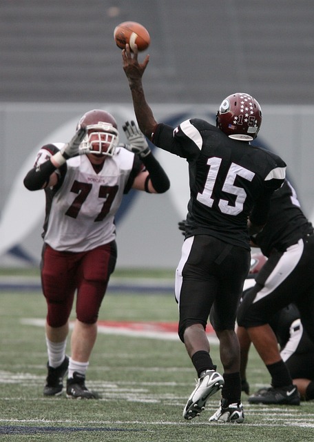 新鹏城通过 新鹏城通过