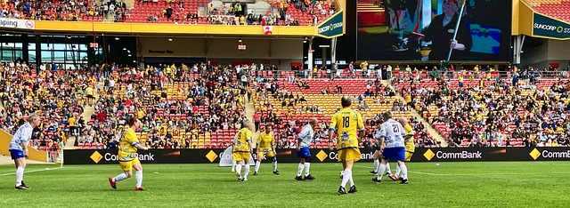 球专家对于 球专家对于