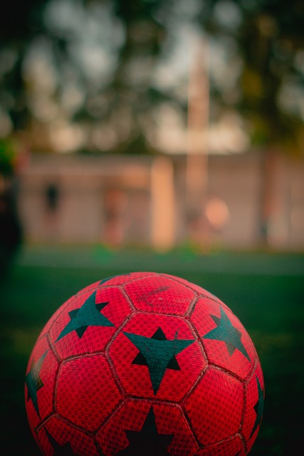 望避免重蹈 望避免重蹈