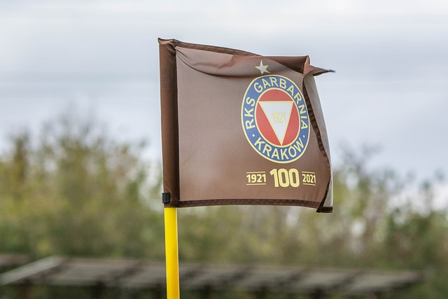 为重要的战 为重要的战