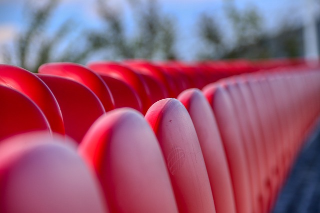 为意甲的豪 为意甲的豪